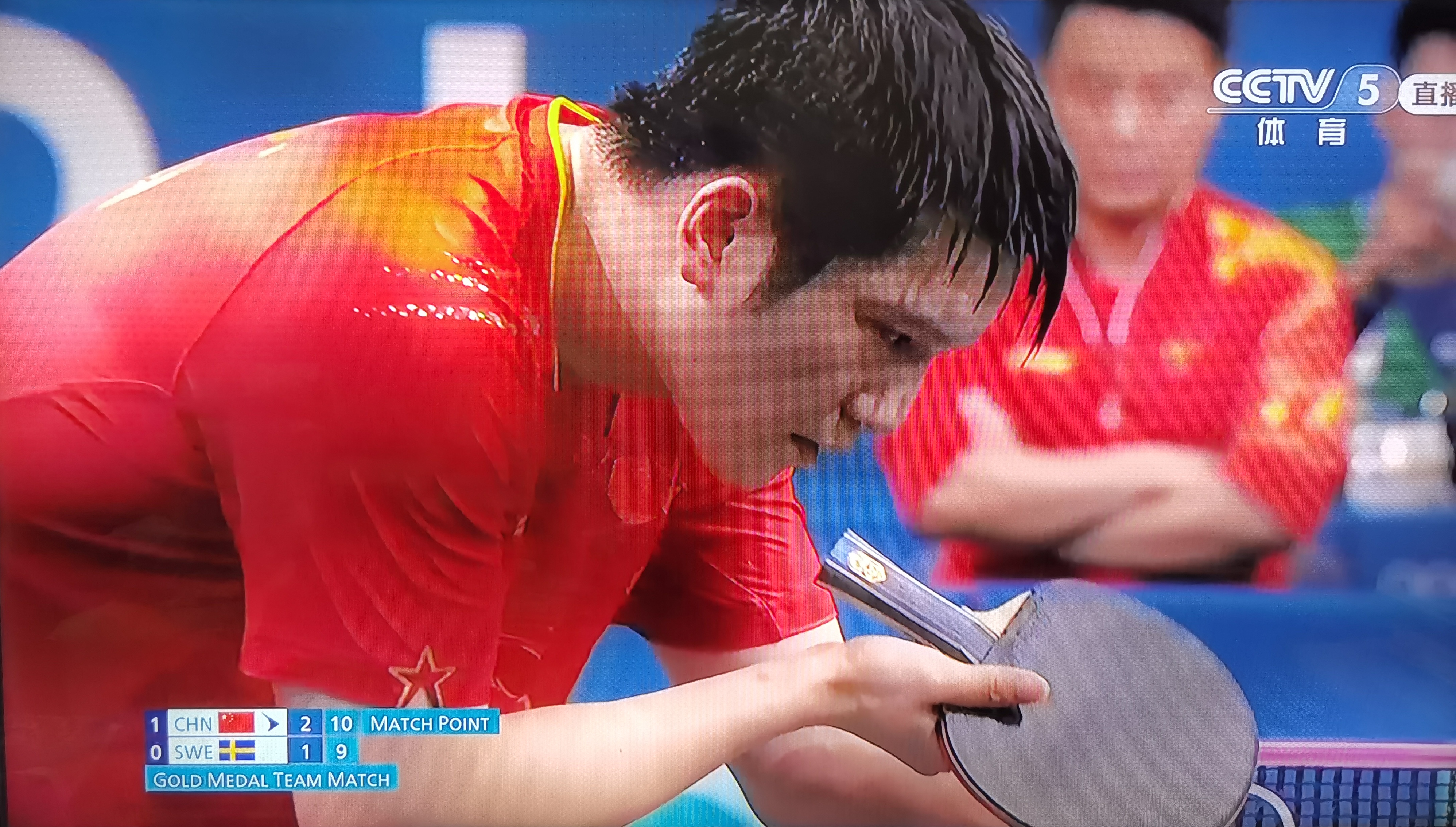中国队完胜瑞典队，樊振东状态火热