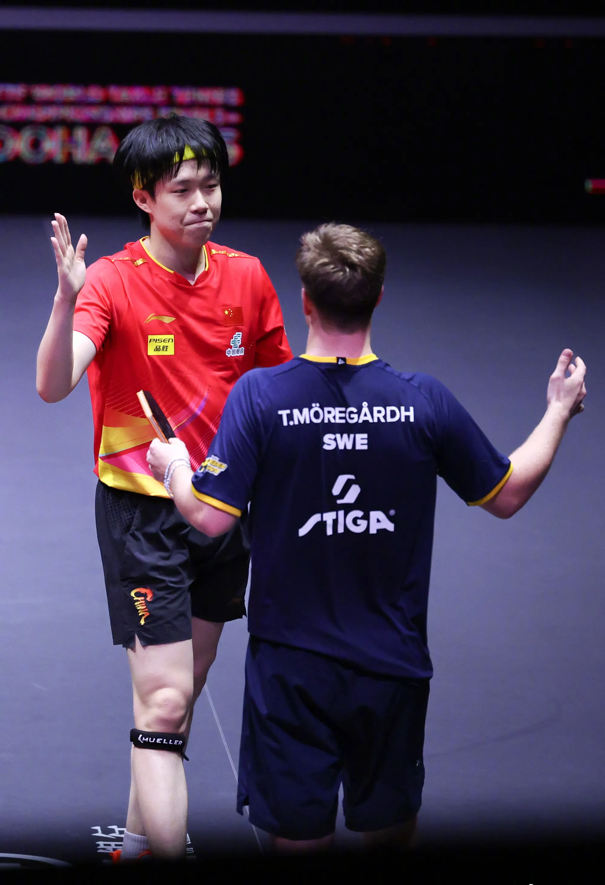 法国队力克德国队，张继科高光表现